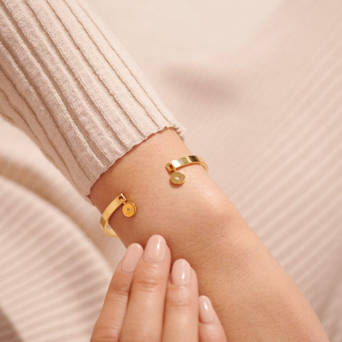 Bracelet Bar Gold Minstrel