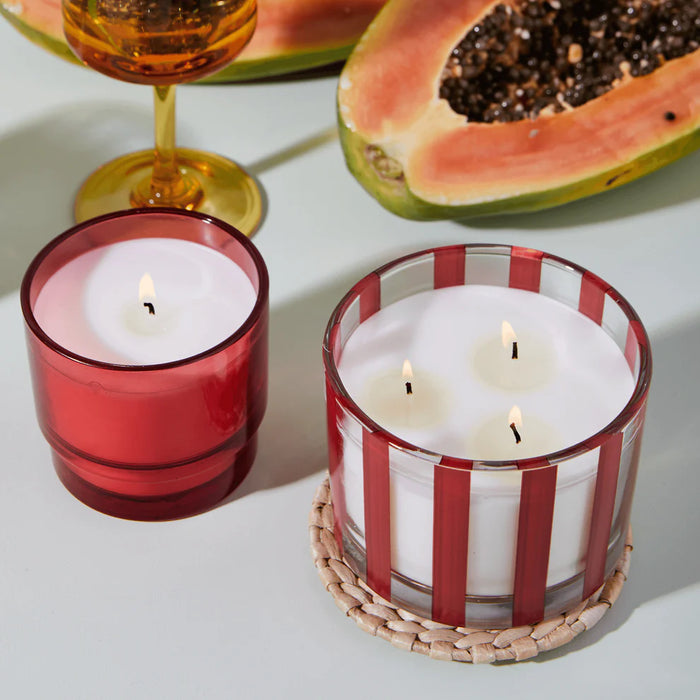 PaddyWax: Al Fresco 12 oz. Candle - Rosewood Vanilla