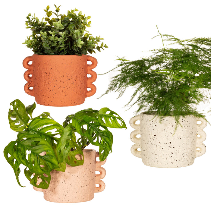 Triple Handle Planter - Assorted colours