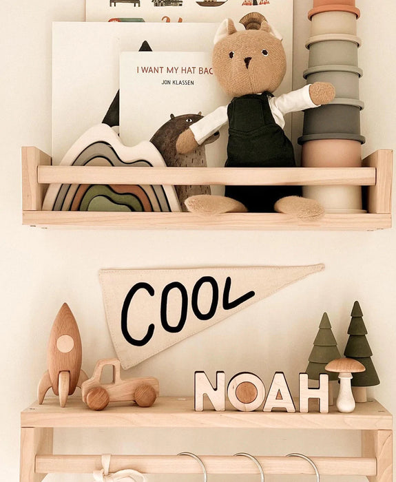 Imani Collective: "Cool" Canvas Pennant | Triangle Wall Flag