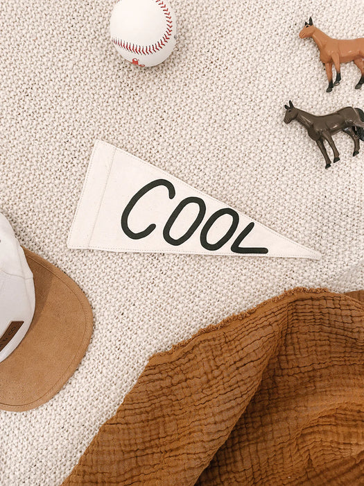 Imani Collective: "Cool" Canvas Pennant | Triangle Wall Flag
