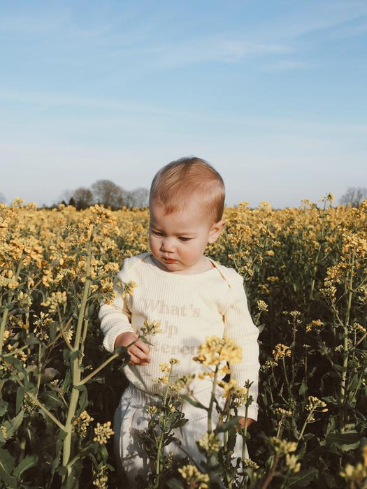Claude & Co: Buttercup Bodysuit